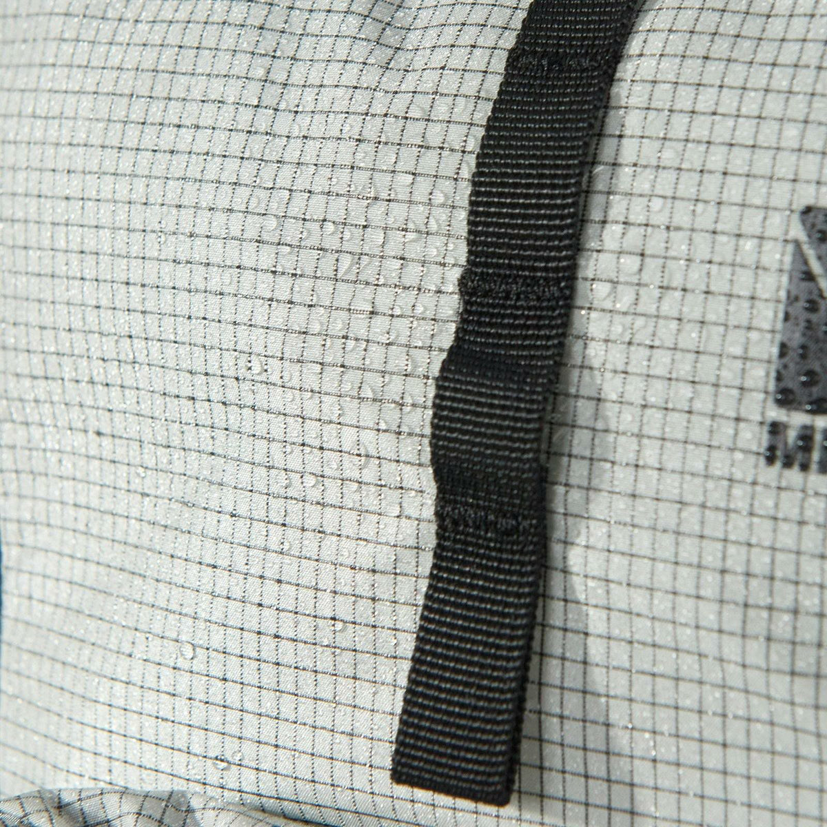 Palmarum 17