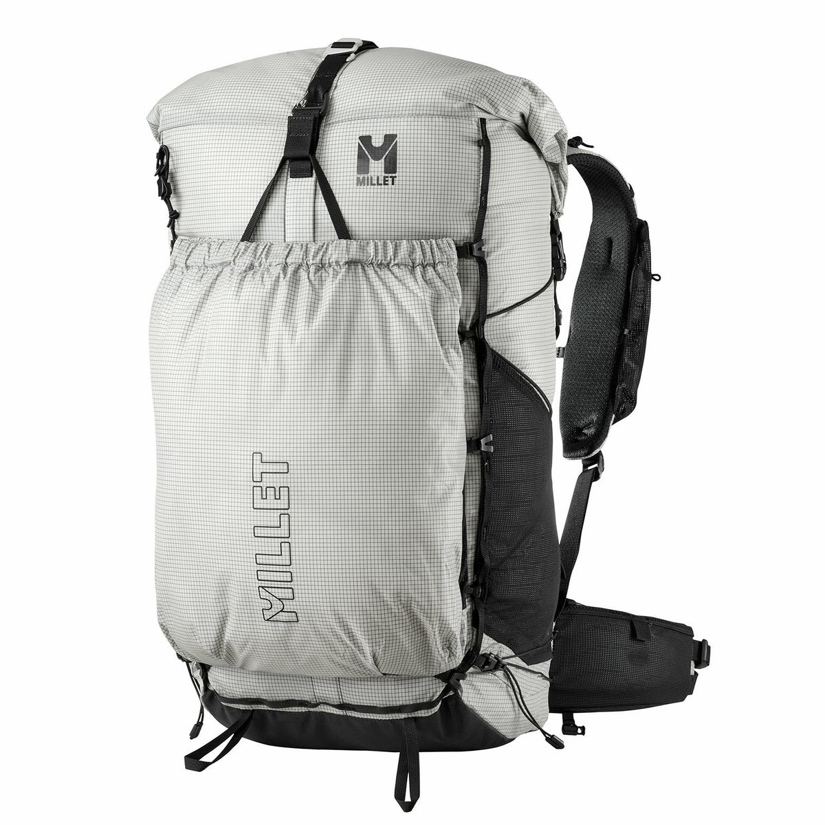 Palmarum 45