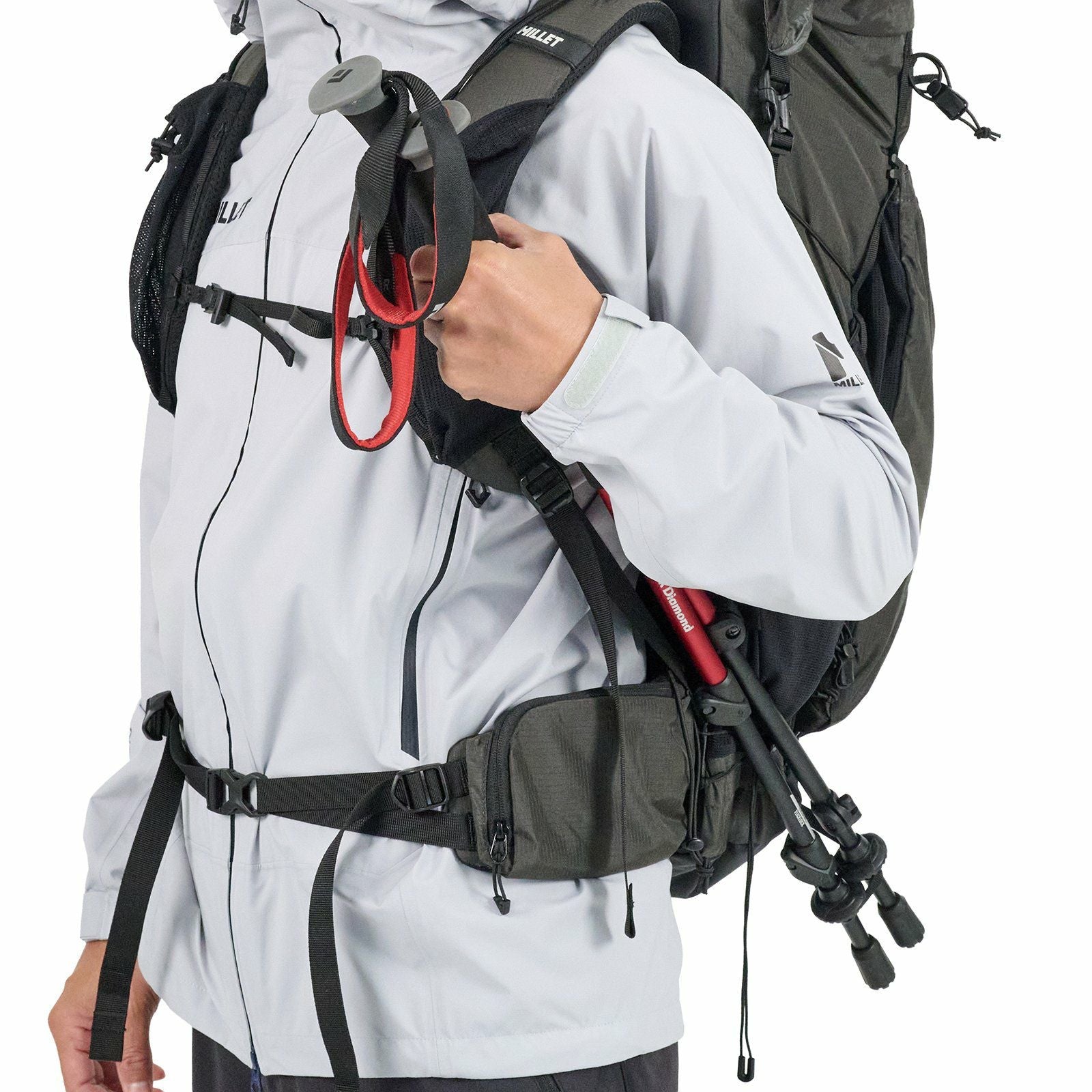 Palmarum 45