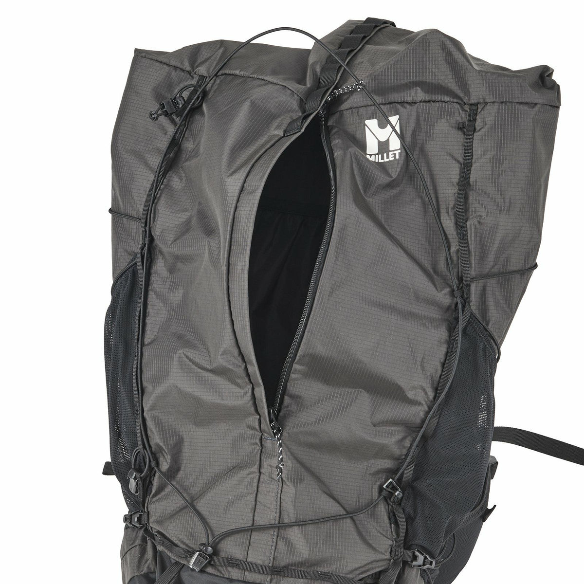 Palmarum 45