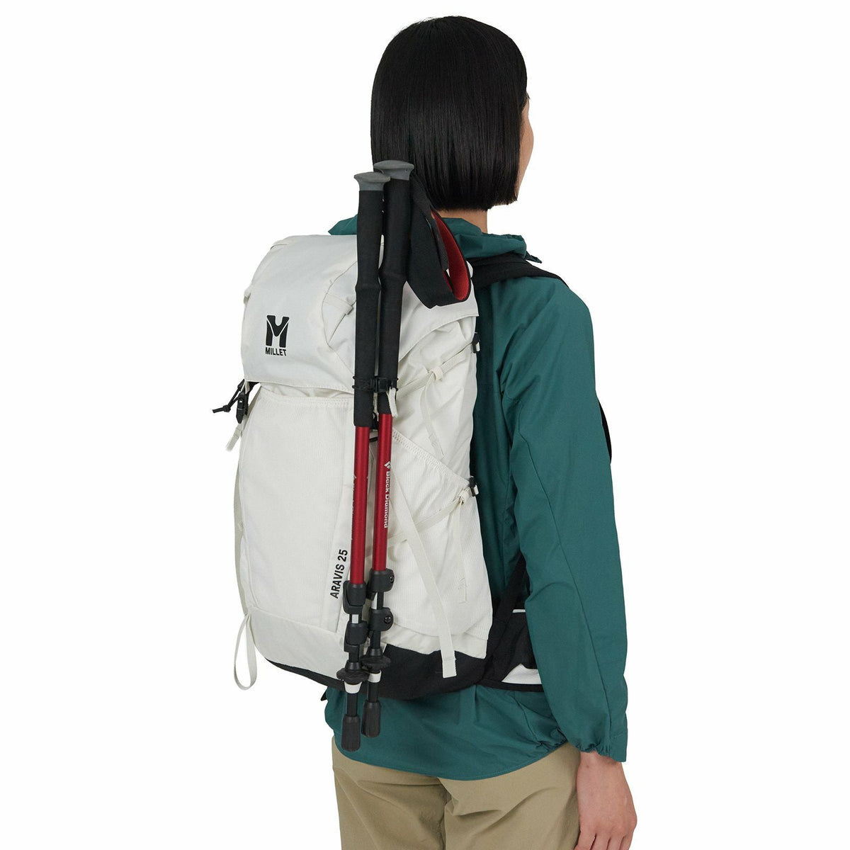 Arabis 25