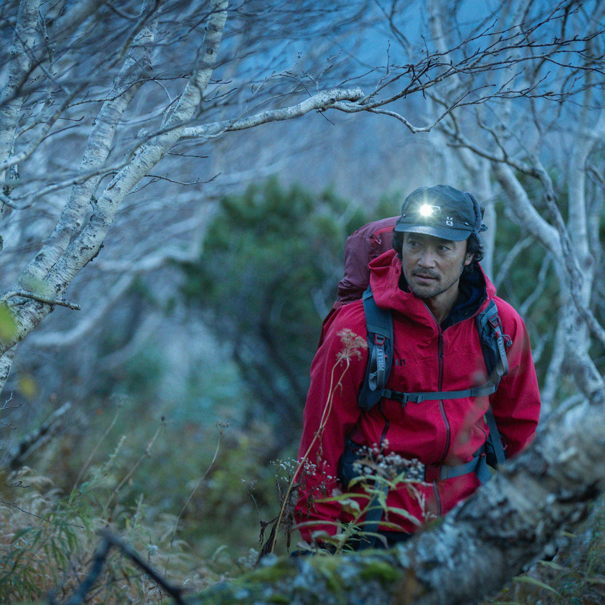 ティフォン ウォーム ネクスト ストレッチ ジャケット