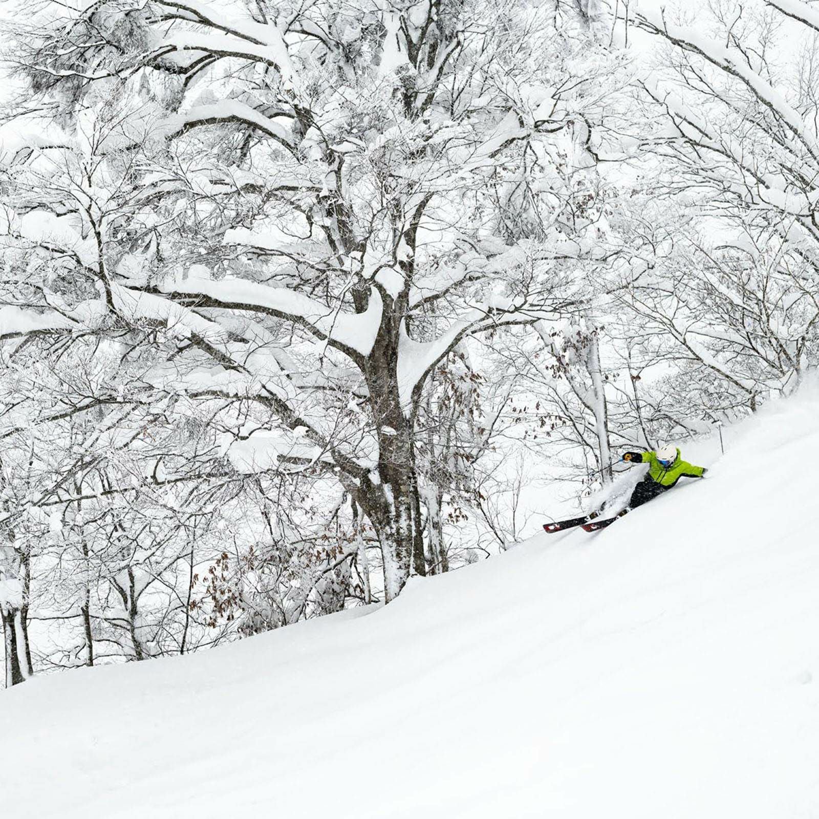コズミック ウォーム ゴアテックス ジャケット