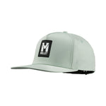 SEAWEED | N4239 / U